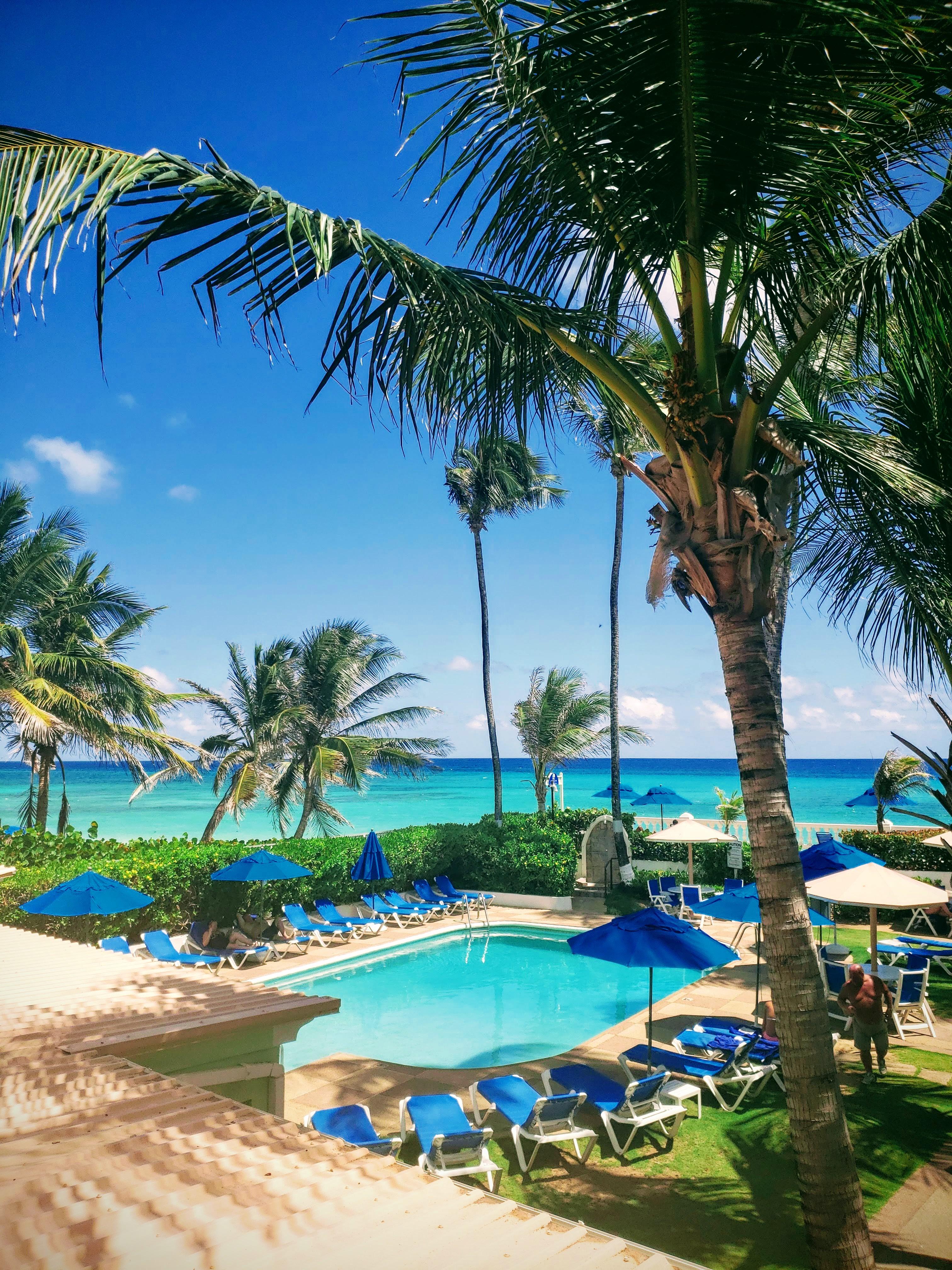 Dover Beach Hotel Christ Church Dış mekan fotoğraf
