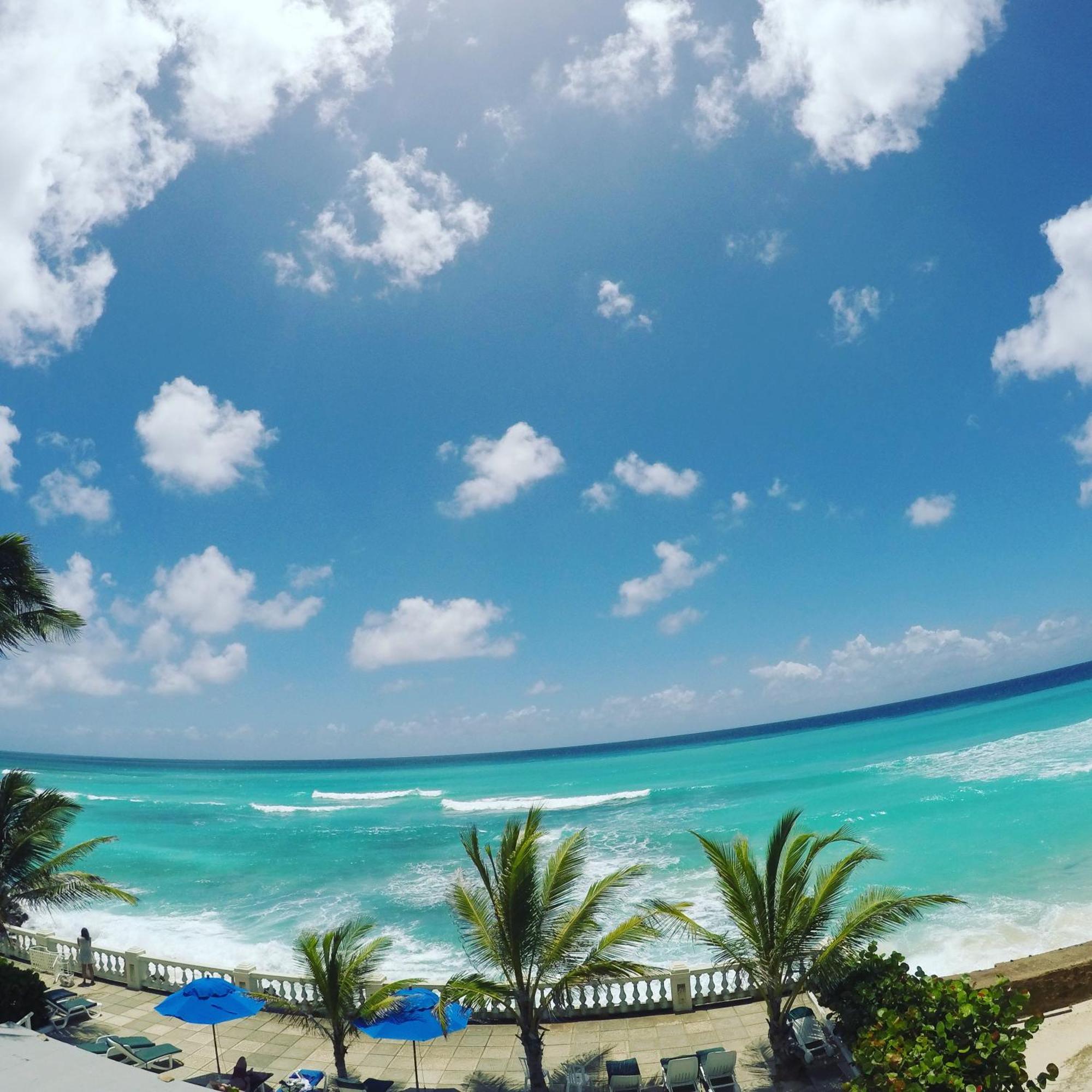 Dover Beach Hotel Christ Church Dış mekan fotoğraf